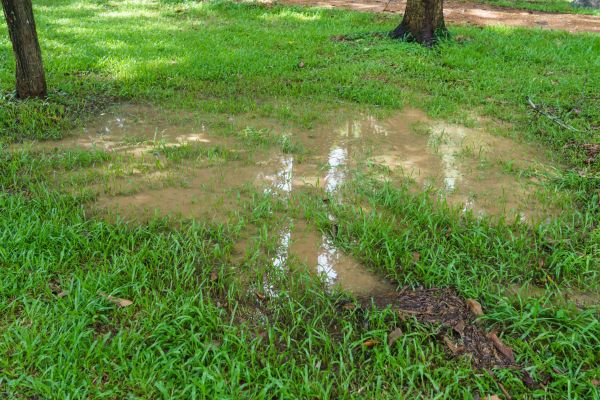 Cost of Storm Water Drainage Service in Annapolis