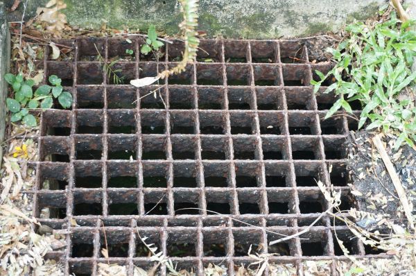 Yard Drain Cleaning