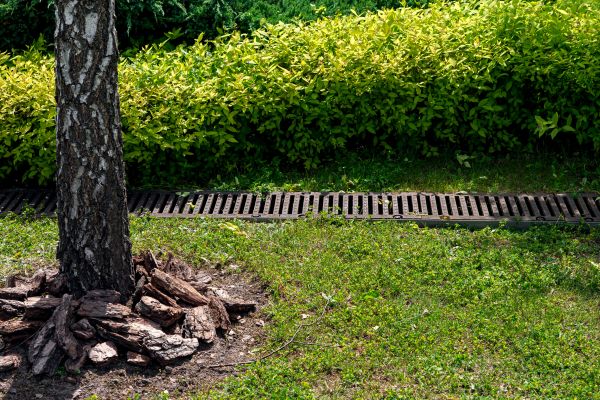 Cost of Wet Yard Drainage in Annapolis