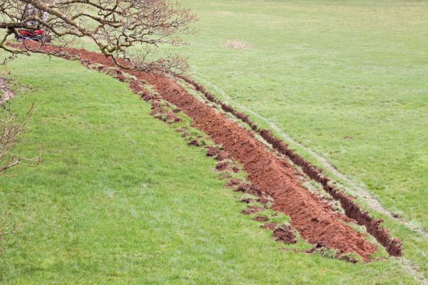 Cost of Swale Installation in Annapolis