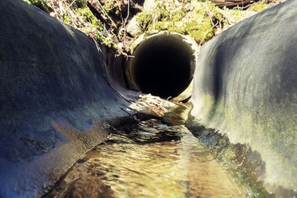 Drainage Swale Installation in Annapolis