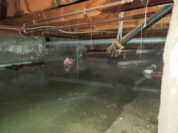 Cost of Crawlspace Drainage in Annapolis