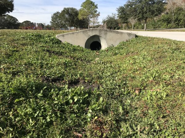 Cost of Swale Drainage Service in Annapolis